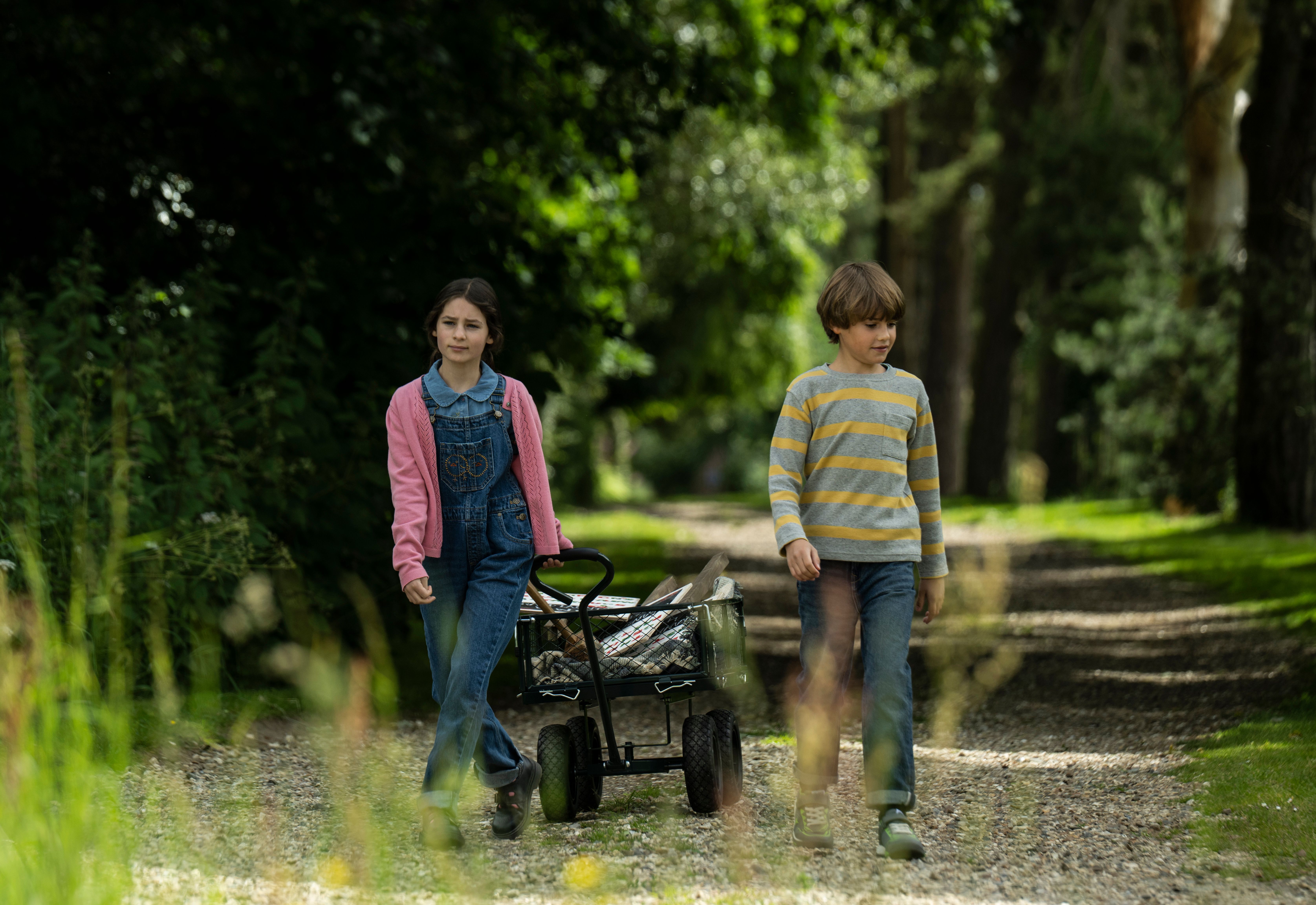 Galeria de A MARAVILHOSA ÁRVORE ENCANTADA  - Imagem 1