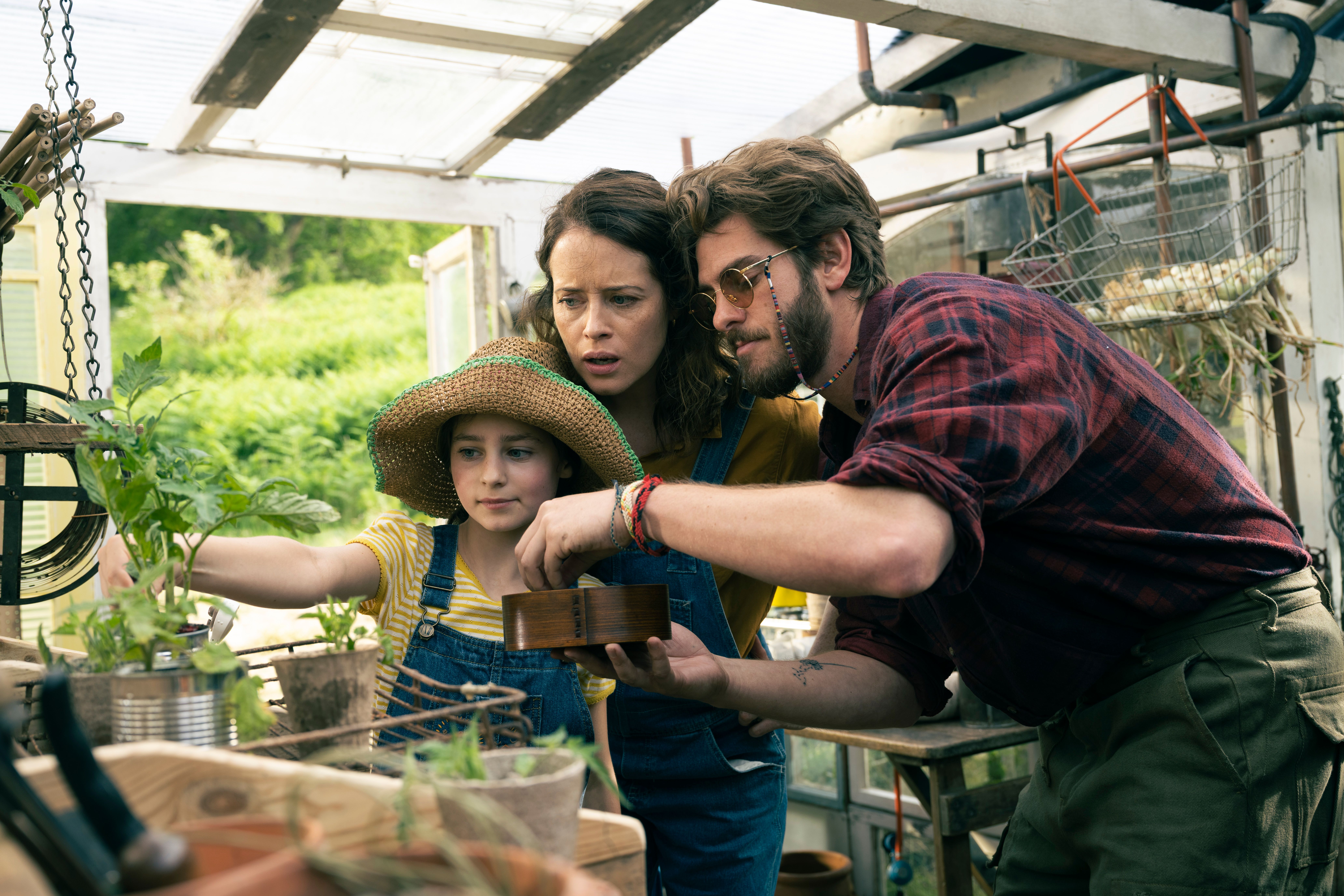 Galeria de A MARAVILHOSA ÁRVORE ENCANTADA  - Imagem 4