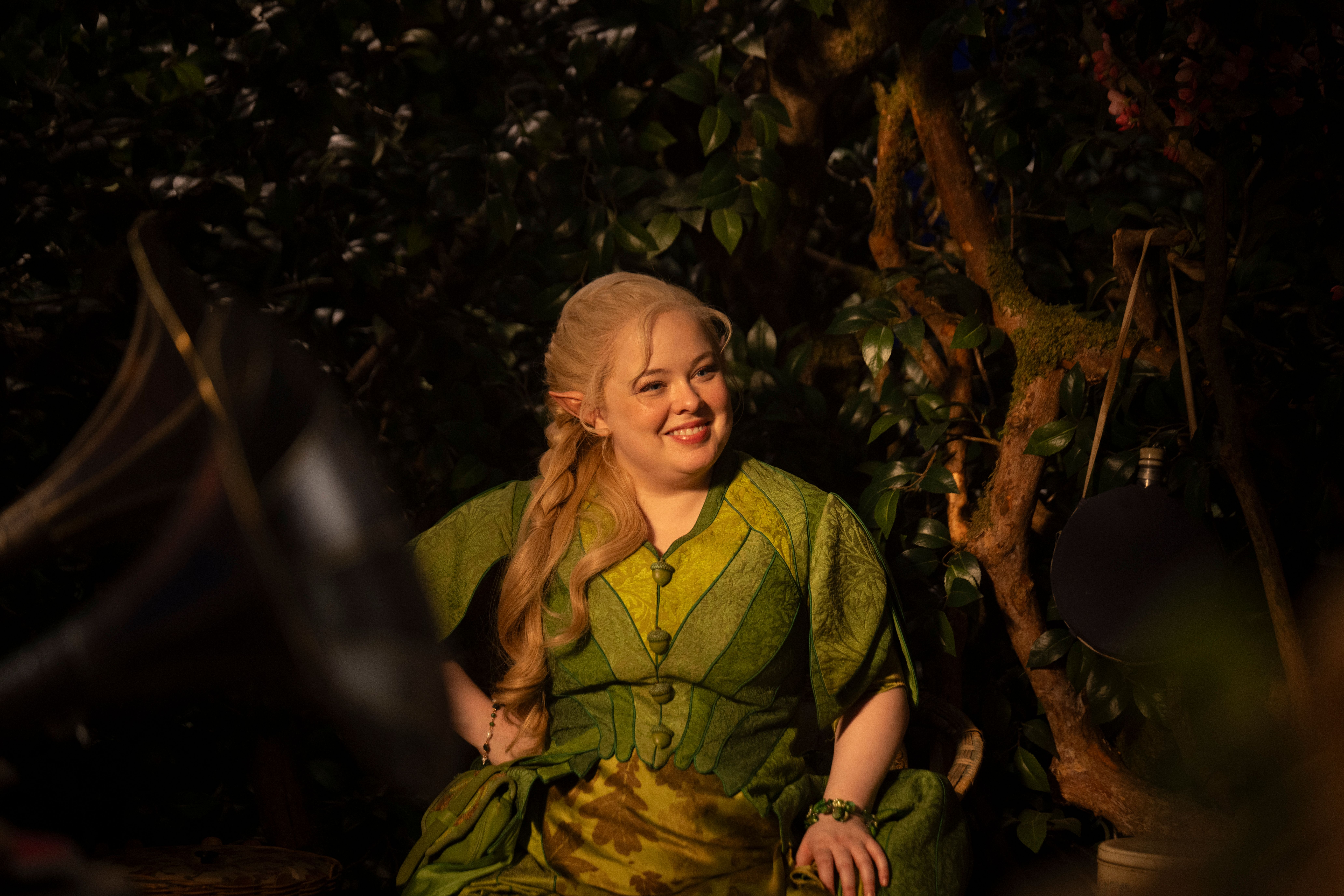 Galeria de A MARAVILHOSA ÁRVORE ENCANTADA  - Imagem 7