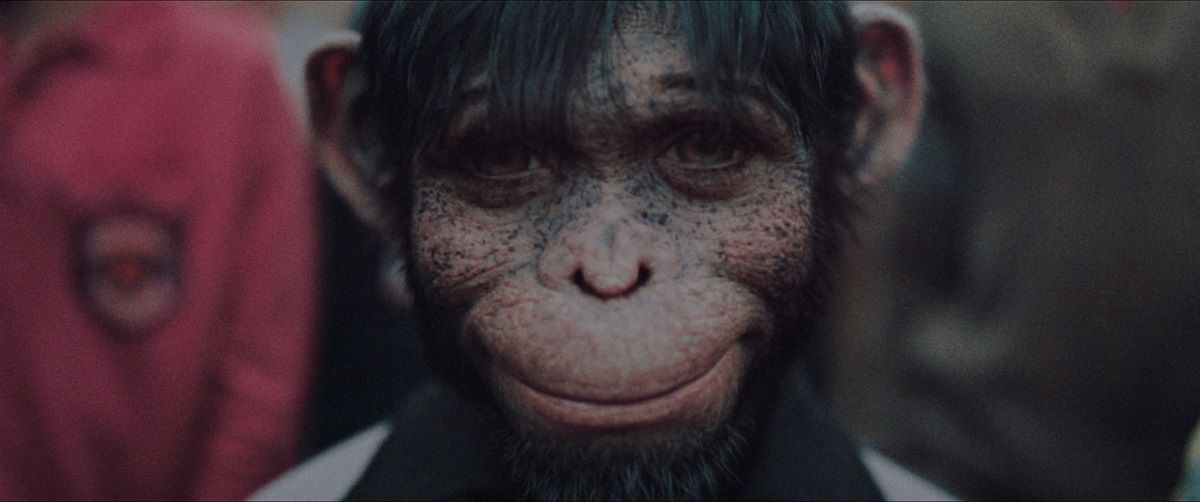 Galeria de Better Man - A História de Robbie Williams - Imagem 3