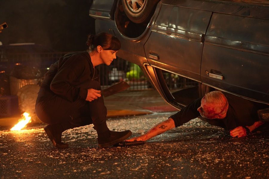 Galeria de Família à Prova de Balas - Imagem 5