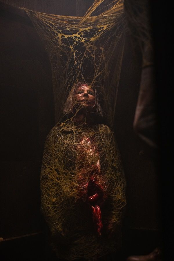 Galeria de Sting - Aranha Assassina - Imagem 1