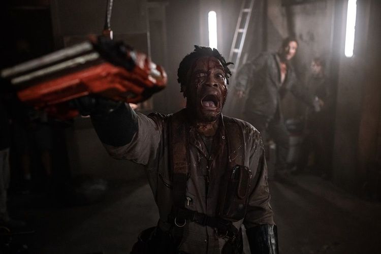 Galeria de Sting - Aranha Assassina - Imagem 4