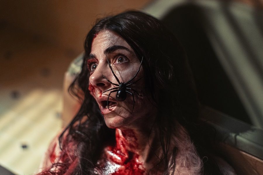 Galeria de Sting - Aranha Assassina - Imagem 3